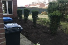 Tuin 1